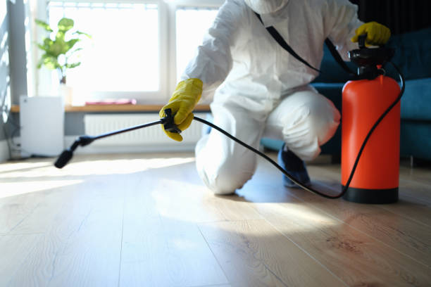 Reliable Odor Removal contractor in Mantua, VA by Trauma Clean Pros